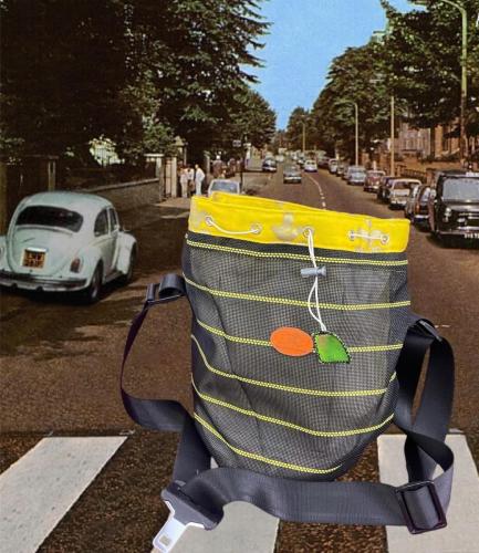 sac-image-2